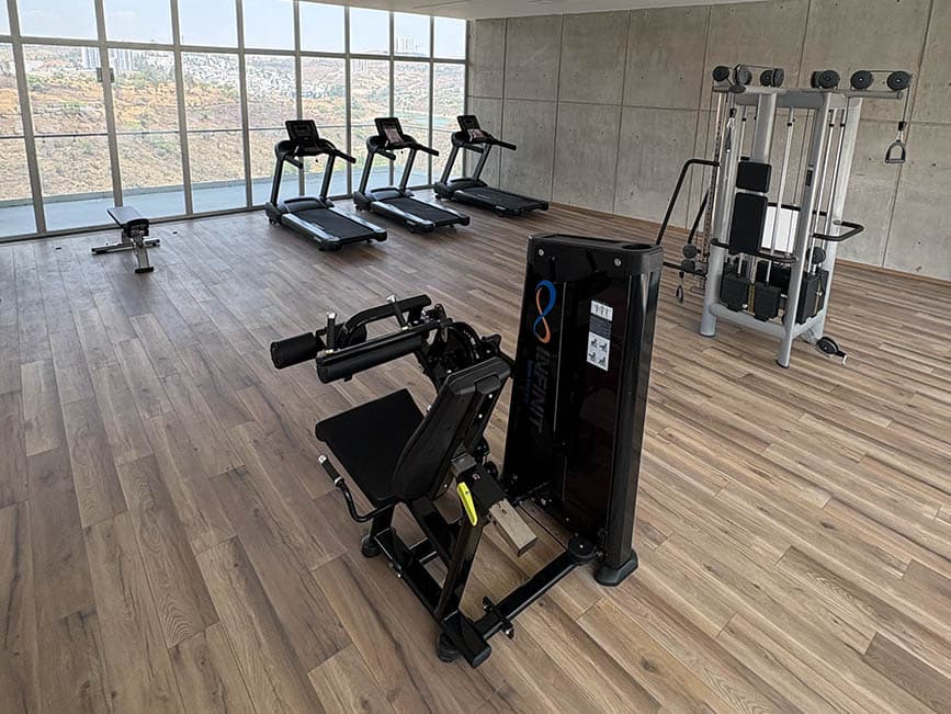 Gimnasio