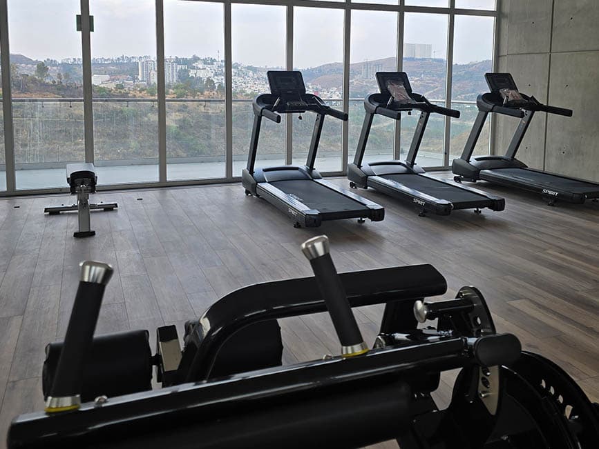 Gimnasio